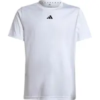 Adidas Functioneel shirt 'Train Essentials' zwart / wit