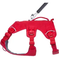Ruffwear Webmaster Harness
