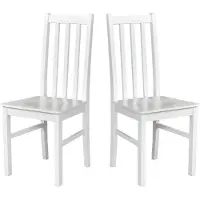 LeafDesign ESSZIMMERSTUHL - Set van 2 stoelen, model Bos, 10 D, wit