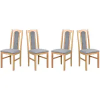 LeafDesign ESSZIMMERSTUHL - Set van 4 stoelen, model Bos, voor 7 personen, merk aston, maat 17