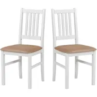 LeafDesign ESSZIMMERSTUHL - Set van 2 stoelen, model Bos 1, wit, artikelnummer 292