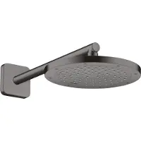 Hansgrohe - Douchearm, 39 cm, geborsteld zwart chroom 26967340