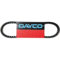 DAYCO Power Plus Cvt7198k Vario Riem