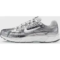 Nike Sneakers laag 'P-6000' lichtgrijs / zilver / wit