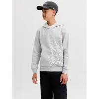Jack & Jones Junior Sweatshirt 'JJECorp' lichtgrijs