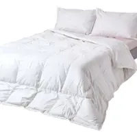 Homescapes Premium Donzen Zomerdekbed 260x200 cm – ≥70% Ganzendons – Warmteklasse 3 – Katoen 300TC – OEKO-TEX & RDS – Wasbaar 40°C