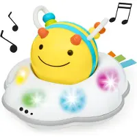 Skip Hop Explore & More Crawl Toy babyspeelgoed