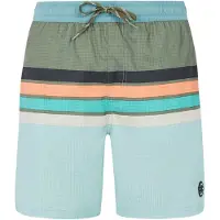 Protest Beachshort Protest Men Prtavik Pale Green-XS