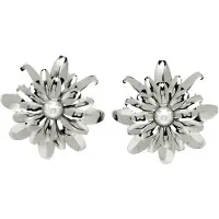 Avant Garde Oorbellen 'Veronikaia' zilver