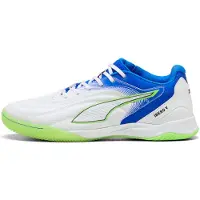 Puma Ibero V Indoor Football Shoes Wit EU 40 Man
