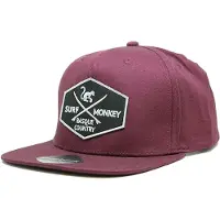 Surf Monkey Sportpet bourgogne