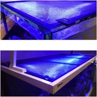 Red Sea Tank Net Screen 150 x 80 cm