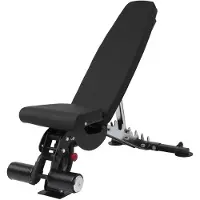 Taurus Studio Halterbank B950