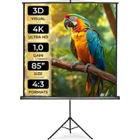 TecTake Projectiescherm - Homecinemaprojectorscherm met Statief - Geschikt voor HDTV - Diverse Maten - (152 x 152 cm | Nr. 402513)