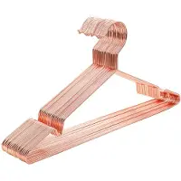 Songmics Metalen hanger, roestbestendig