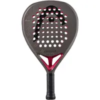 Head Coello Motion 2026