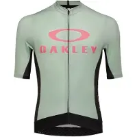 Oakley Apparel Icon Training T-shirt met korte mouwen voor heren, groen || Maat: L