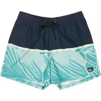 Quiksilver Everyday Poolsider 15´´ Zwembroek