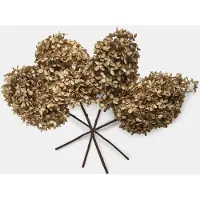 Loberon Droogbloem set van 3 Brissonne