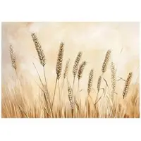 WALLARENA - Fotobehang - 300x210 cm - Boho beige natuur behang voor slaapkamer en salon van vliesbehang