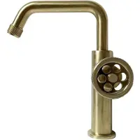 EsseBagno Wastafelmengkraan Indus - Lage Uitloop - Draaibaar - Goud Geborsteld - 23,1cm