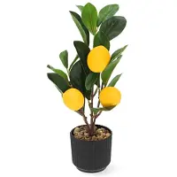 Décoris Kunstplant Citroenboom | | 27 cm (In pot)