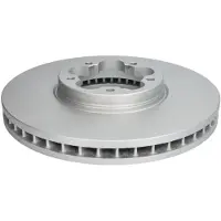 Delphi BG9491C Remschijf