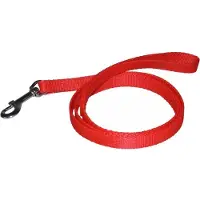 Chaba Hondenlijn 1.3m Rood - Sterke Tape, Breedte 2cm