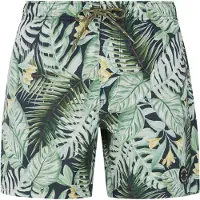 Protest Beachshort Men Prtglory Artichoke green-XS