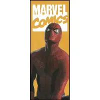 Komar Wandfoto Spider Man Comic 100 X 250 Cm