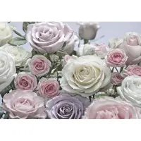 Overig Komar Fotobehang Floraison