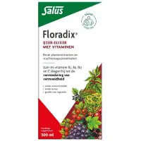 Floradix 2x Vloeibaar Ijzer-Elixer met Vitamines 500 ml