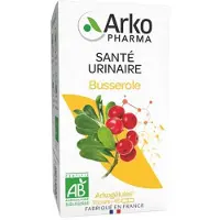Arkopharma Arkogélules Beerendruif Bio 45 Capsules
