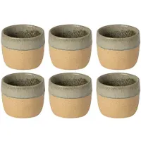 Costa Nova Bekers Arenito Sage Green 360 ml - 6 stuks
