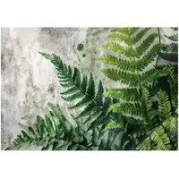 WALLARENA - Fotobehang - 150x105 cm - fotobehang met varenbladeren in groen beton voor de slaapkamer en woonkamer