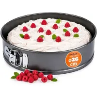 Kadax Springvorm, Stalen anti-aanbak vorm, ronde Bakvorm voor Taart, Cake, Bakplaat, Taartpan, Cake Bakvorm, Taartvorm met vlakke Bodem, stevig, zilverkleurig (Durchmesser: 26 cm)