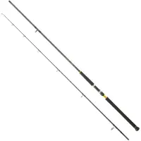 Daiwa Legalis Shore Jigging Hengel Zilver 3.20 m / 60-120 g