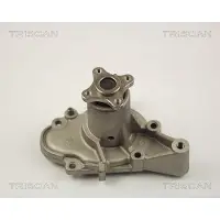 TRISCAN 8600 43002 Waterpomp