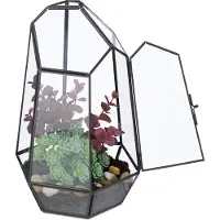 Relaxdays plantenterrarium, glas en koper, 26x18x15 cm, glazen kasten voor cactussen en mos, geometrisch design, geschikt voor vensterbank, kleur: zwart