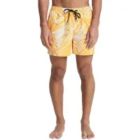 Quiksilver Everyday Printed Volley 15´´ Zwembroek