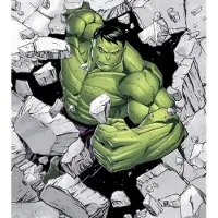 Overig Fotobehang Hulk Breaker - Groen - 2,80m X 250cm