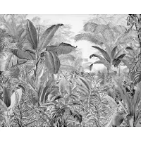 Overig Fotobehang Roraima - Zwart - 2,80m X 350cm