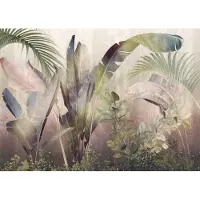 Overig Fotobehang Rainforest Mist - Meerkleurig - 2,50m X 350cm