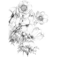 Komar Fotobehang Embroidery - Wit - 2,48m X 184cm