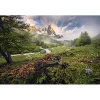 Overig Fotobehang Morning Walk - Meerkleurig - 2,54m X 368cm
