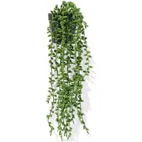 HEMA Kunstplant erwtjes (groen)