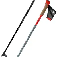 Rossignol Force 5 Stokken