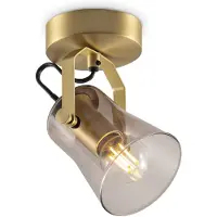 Home Sweet Home Industriële Plafondspots - Messing - Met E14 Fitting - Metaal en Glas Spotlights - 9 x 10 x 18.5cm - Voor woonkamer en slaapkamer - Lichtbron niet