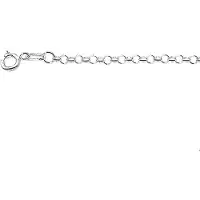Trendjuwelier huiscollectie 1002206 Zilveren Ketting Jasseron 2,5 mm