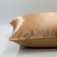 Silk Heaven 2x Zijden Kussensloop 50x60cm Goud Hotelsluiting 22 Momme - Kussensloop set - Luxe Silk Kussensloop 100% moerbei zijde - Zijde kussensloop - - 50x60cm / Hotelsluiting